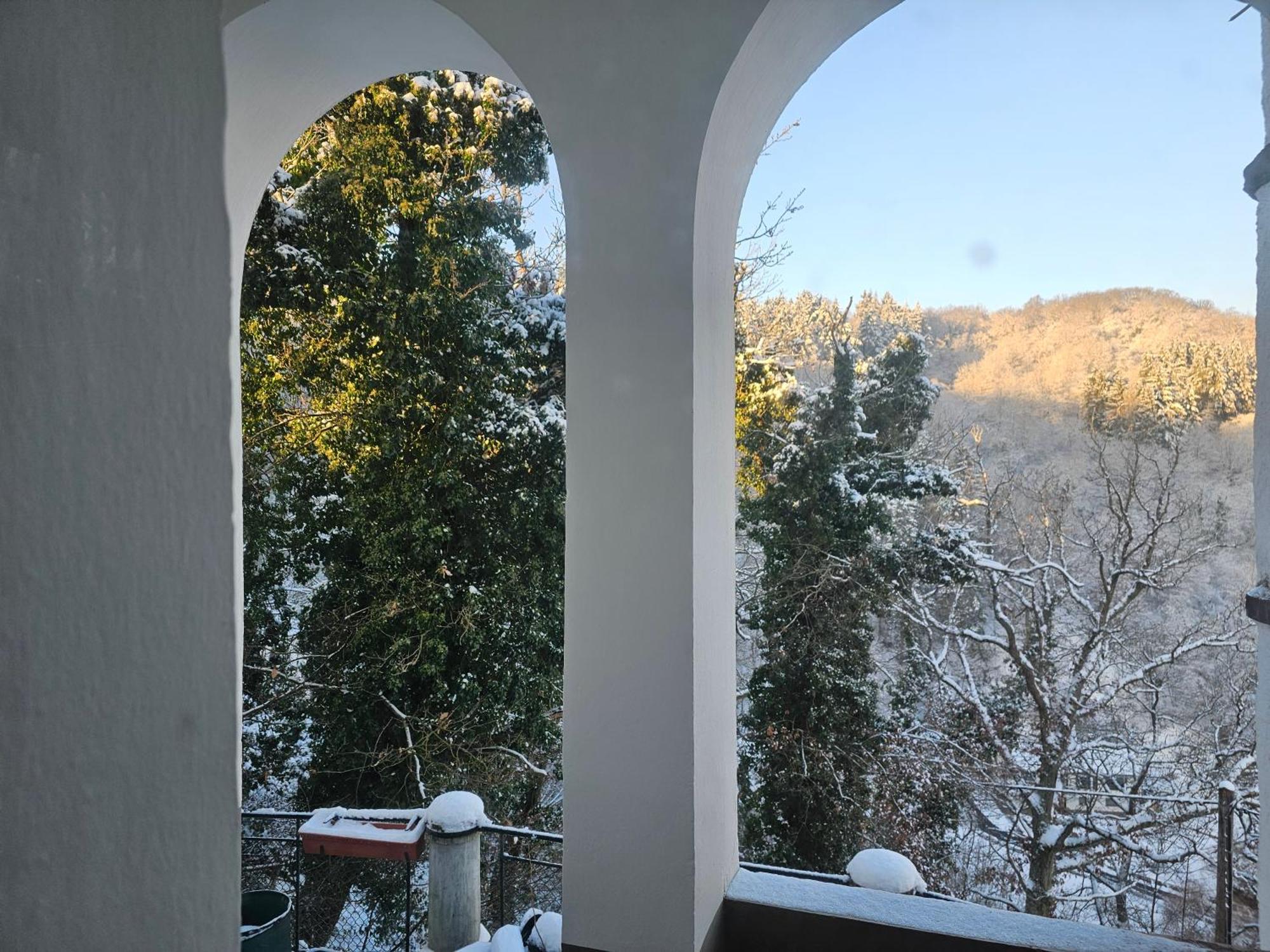 Little Rhineview Chateau Ug Boppard Exteriér fotografie